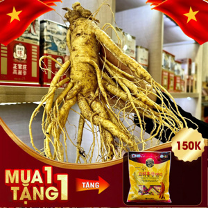 Nhân Sâm Tươi Hàn Quốc 5 củ/kg