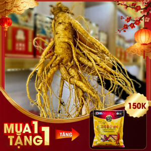 Nhân Sâm Tươi Hàn Quốc 5 củ/kg