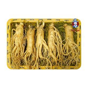 Nhân Sâm Tươi Hàn Quốc 5 củ/kg
