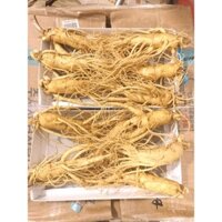 NHÂN SÂM TƯƠI HÀN QUỐC 5 củ/kg