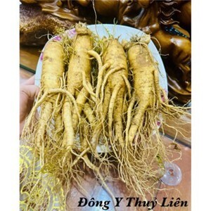 Nhân Sâm Tươi Hàn Quốc 6 củ/kg