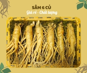 Nhân Sâm Tươi Hàn Quốc 6 củ/kg