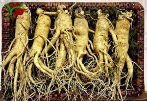 Nhân Sâm Tươi Hàn Quốc 6 củ/kg