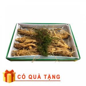 Nhân Sâm Tươi Hàn Quốc 7 củ/kg