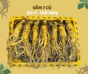 Nhân Sâm Tươi Hàn Quốc 7 củ/kg
