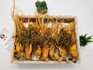 Nhân Sâm Tươi Hàn Quốc 7 củ/kg