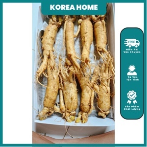 Nhân Sâm Tươi Hàn Quốc 8 củ/kg