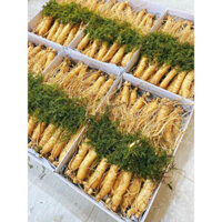 Nhân sâm tươi Hàn Quốc hầm gà 1kg 20-30 củ