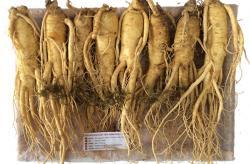 Nhân sâm tươi Hàn Quốc loại 10 củ 1 kg