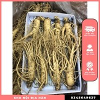 Nhân sâm tươi size sâm 8 củ/kg Hàn Quốc ,Sâm tươi hàn quốc