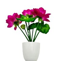 Nhân Tạo Hoa Sen Cây Cảnh Mô Phỏng Hoa Nhà Trang Trí Phòng Khách Nhựa Nước Lily Chậu Hoa
