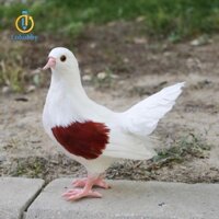 Nhân Tạo Sân Vườn Lông Chim Bồ Câu Tượng Điêu Khắc Thủ Công Cho Tủ Ngoài Trời Trong Nhà Sân Trang Trí Trang Trí