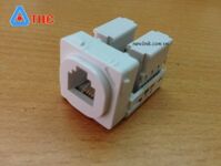 Nhân thoại sino RJ 11, wallplate sino RJ11