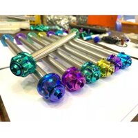 [NHẮN TIN DÒNG XE+VỊ TRÍ] Cốt bánh Titan Gr5 + Tán Ốc 10ly 12ly 14ly , cốt tán bánh trước sau