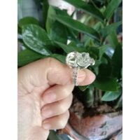 Nhẫn tỳ hưu phong thuỷ bạc 925 đẹp nam nữ