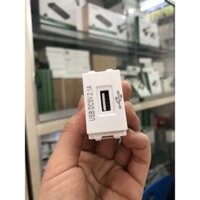 Nhân USB sạc, ổ cắm USB 5V-2.1A sạc siêu nhanh lắp âm tường Panasonic