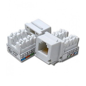 Nhân Wallblate RJ45 AMP