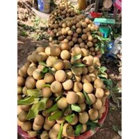 Nhãn xuồng e bán combo 3kg :150k