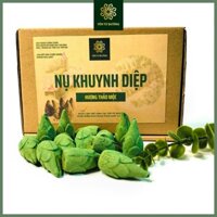 Nhang Nụ Thảo Mộc YÊN TỪ ĐƯỜNG Từ Lá Cây Khuynh Diệp, Xông Nhà, Đuổi Muỗi, Mùi Thơm Thoang Thoảng Dịu Nhẹ