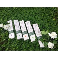 Nhang Sạch Nhiên Mộc - 6 Mùi Hương Cực Đặc Biệt - 100% Organic Tự Nhiên Không Hoá Chất - Hộp 220 cây, dài 33cm