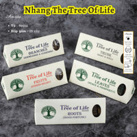 Nhang Thiền Định Thảo Dược The Tree of life Nepal 10cm - Amrita