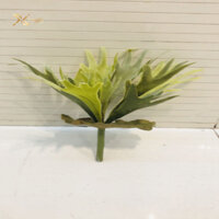 Nhánh lá sừng hươu màu lá non