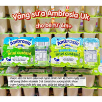 [Nhập khẩu tem phụ] (2026) Váng sữa Ambrosia cho bé 6m+ Vỉ 6 hộp x 55G  Anh Quốc UK