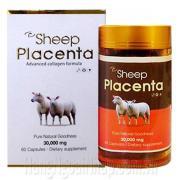 Nhau thau cừu New Zealand Sheep Placenta