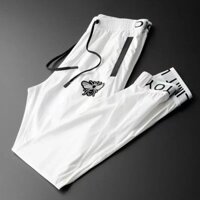 Nhẹ Sang Trọng Thêu Ong Trắng Quần Nam Rời Phù Hợp Với Hợp Thời Trang Mùa Hè Mỏng Phong Cách Ice Silk Quần Nam20250325