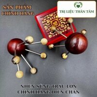 Nhện sừng massage ( con to)