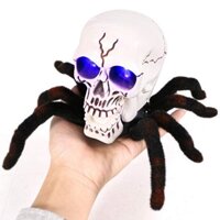 Nhện tarantula Đầu Sọ người điều khiển từ xa | Simulation RC Spider Skull remote control