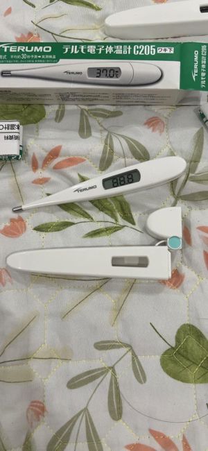 Nhiệt kế cặp nách điện tử Terumo C205