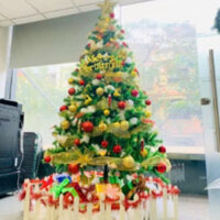 #nhietkegiare1977 Cây Thông Noel 1m5, 1m8, 2m1 Tán Dày - Cây Thông tô điểm ngãy lễ giáng sinh Đẹp