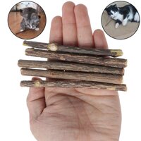 Nhiều Loại 5 Chiếc Cát Vệ Sinh Răng Tự Nhiên Nguyên Chất Catnip Cho Mèo Dính Thú Cưng Răng Hàm Kem Đánh Răng Ăn Nhẹ Một Kích Thước