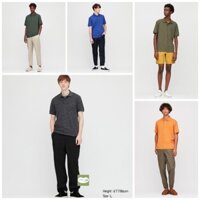 [NHIỀU MÀU] Áo polo nam Uniqlo (Hình thật shop chụp) - Hàng nội địa Nhật