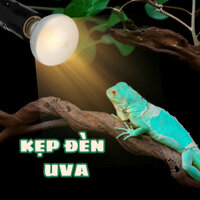 (Nhiều mẫu) BÓNG SƯỞI ẤM UVA + KẸP ĐÈN, SƯỞI ẤM CHO PET CHÓ MÈO THÚ CƯNG BÒ SÁT RÙA CHIM GÀ CON NHỎ