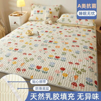 NHIỀU MẪU SÉT GA GỐI ĐIỀU HOÀ NỘI ĐỊA HÀNG CAO SU TỰ NHIÊN