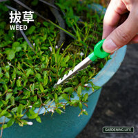 Nhíp làm vườn, kẹp nhíp, nhổ cỏ, dụng cụ làm vườn, nhổ cây con, cấy ghép, kẹp gia dụng, nhíp nhổ cỏ