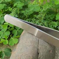 Nhíp thuỷ sinh đen