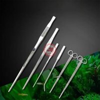 Nhíp Và Kéo Inox Trồng Cây Cho Hồ Thủy Sinh  - NHÍP CONG