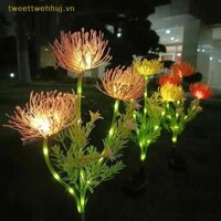 Nhíphuj Bờ Năng Lượng Mặt Trời Hoa Nông Thôn Mới Đèn Hoa Lắp Ngoài Trời Sân Vườn Không Khí Lắp Đèn Đất Led Bãi Cỏ VN