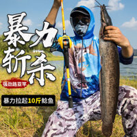 Nhỏ Bánh Xe Vàng Mồi Cần Nước Thả Bánh Xe Bộ M Carbon 2.1 Cần Biển Ném Cần Đúc Dài Siêu Cứng Cần Câu Cá Ngựa Miệng Cần 11.10