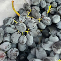 Nho đen không hạt Nhập Khẩu