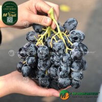 Nho Đen Không Hạt Sweet Favors Úc | Hello