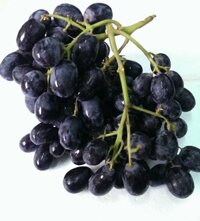 Nho đen không hạt Úc