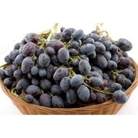 Nho đen không hạt