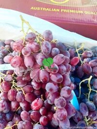 Nho đỏ Crimson Úc 1kg
