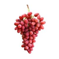 Nho đỏ Crimson Úc Grapeland 1kg (1 Túi)