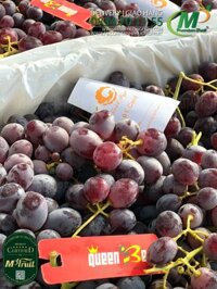 Nho Đỏ Crimson Úc