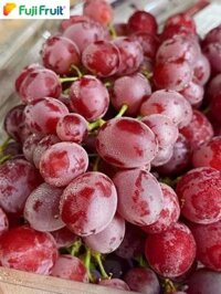 Nho đỏ kẹo Úc